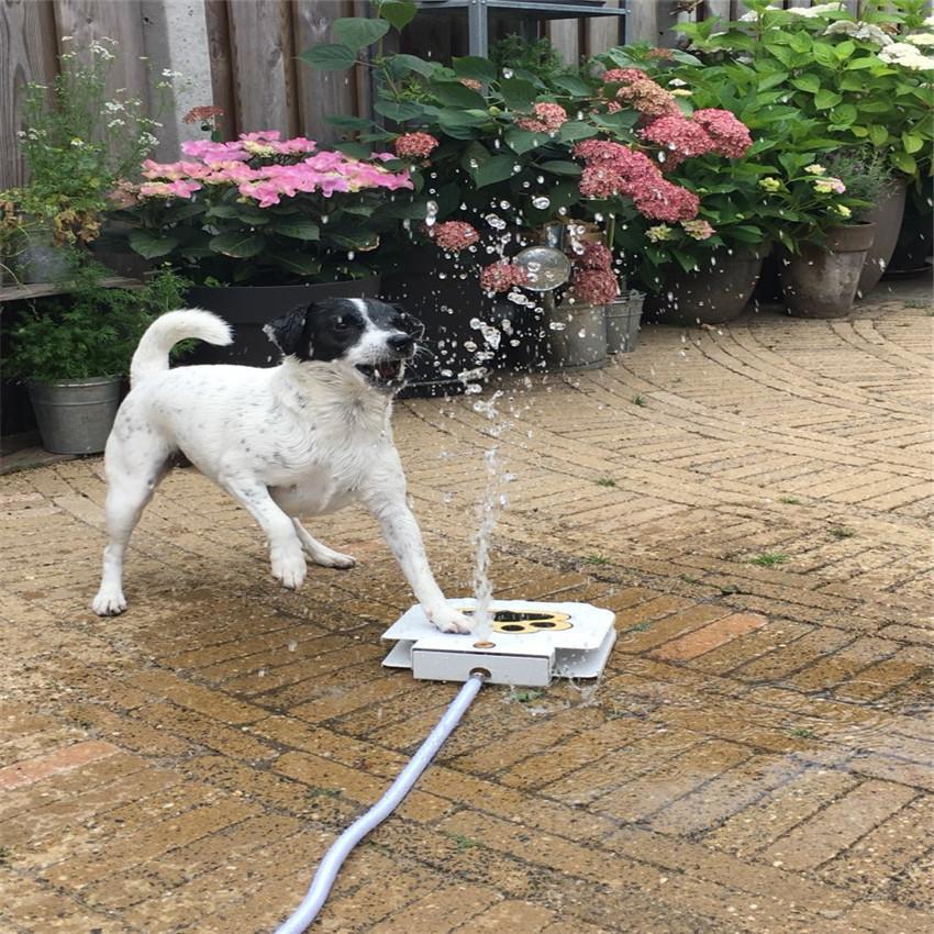 Fontaine portable pour chien