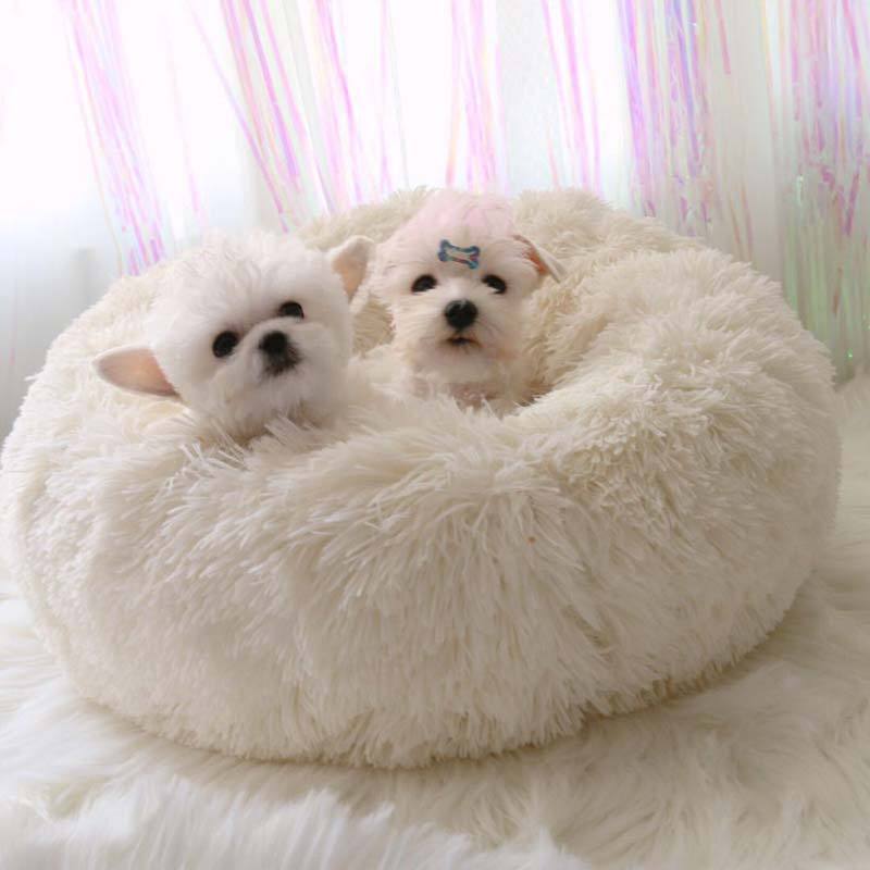Coussin sofa pour chien & chat