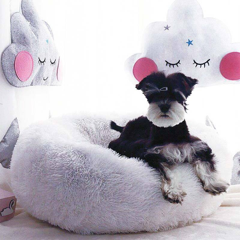 Coussin sofa pour chien & chat